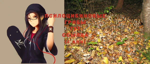 прущая мука Алзамай